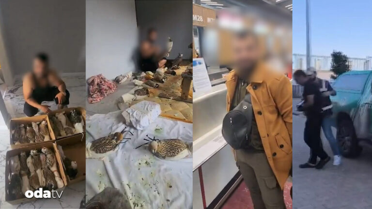 yirtici-kuslari-yakalayip-sardi-havaalanindan-mi-kacirdi-yakalandi-mSNTk7ft.jpg